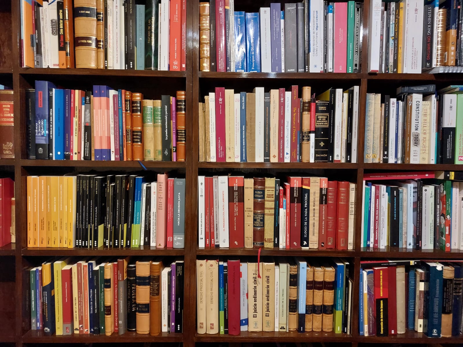 Biblioteca jurídica personal de EYZV